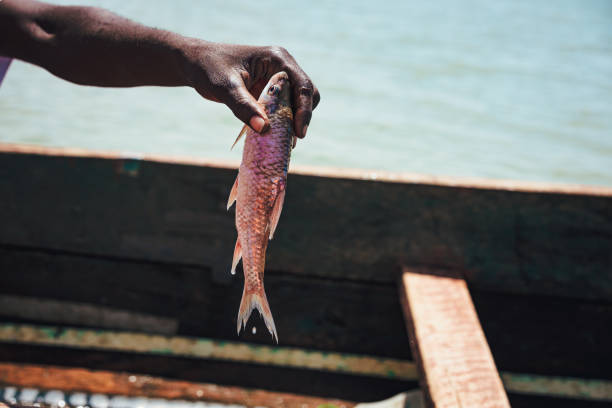 Angler's Pass